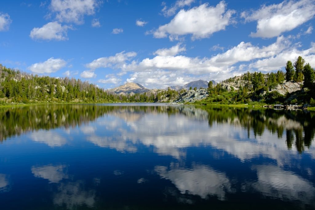 All of The US National Forests and How to Celebrate Them