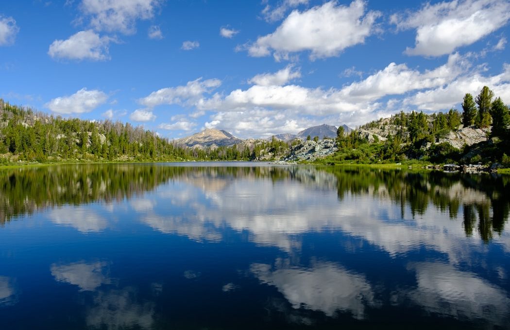 All of The US National Forests and How to Celebrate Them